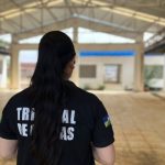 Qual a importância da Independência da Função de Auditoria na organização e no futuro dos Tribunais de Contas do Brasil?