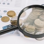 As emendas parlamentares e o papel dos tribunais de contas