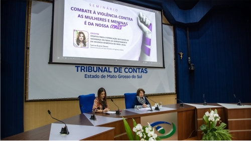 A seminar on combating violence against women and girls is taking place, featuring two speakers at a conference table.