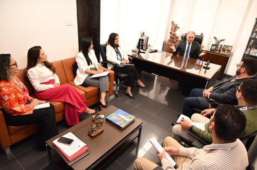 Vice-presidente do TCE-PA reúne com equipe de auditores sobre fiscalizações na Primeira Infância no Pará