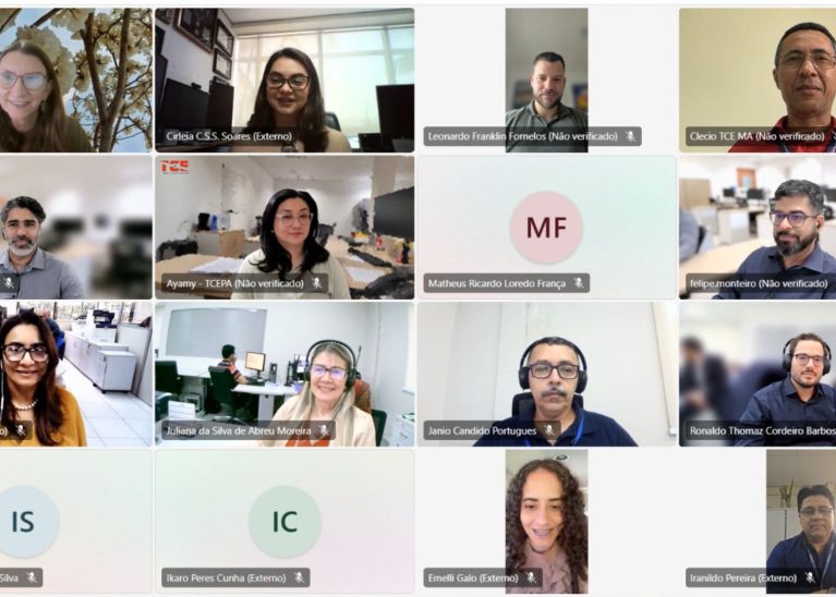 Comissão do Projeto Meio Ambiente inicia ano com foco no fortalecimento do controle ambiental