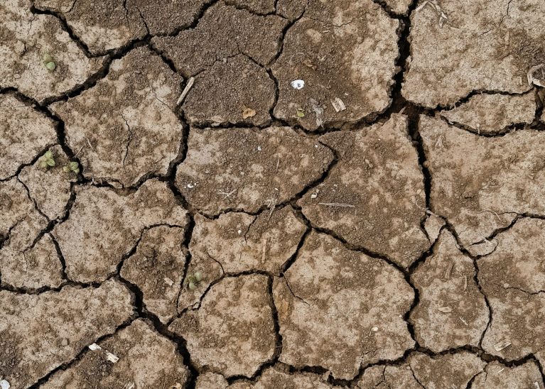 Controle Externo no combate à crise climática: O papel do TCE-BA