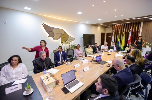 TCE-AC reúne chefes de Poderes para fortalecer política de proteção aos órfãos do feminicídio