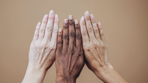 Atricon, TCE-PA e instituições parceiras promovem webinário sobre identidade racial