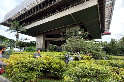 TCM-SP inova na promoção da sustentabilidade e aprova Plano de Logística Sustentável 
